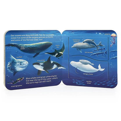 Ocean Lift-A-Flap Board Book Cottage Door Press Lil Tulips