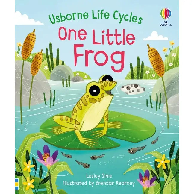One Little Frog Board Book Harper Collins Childrens Lil Tulips