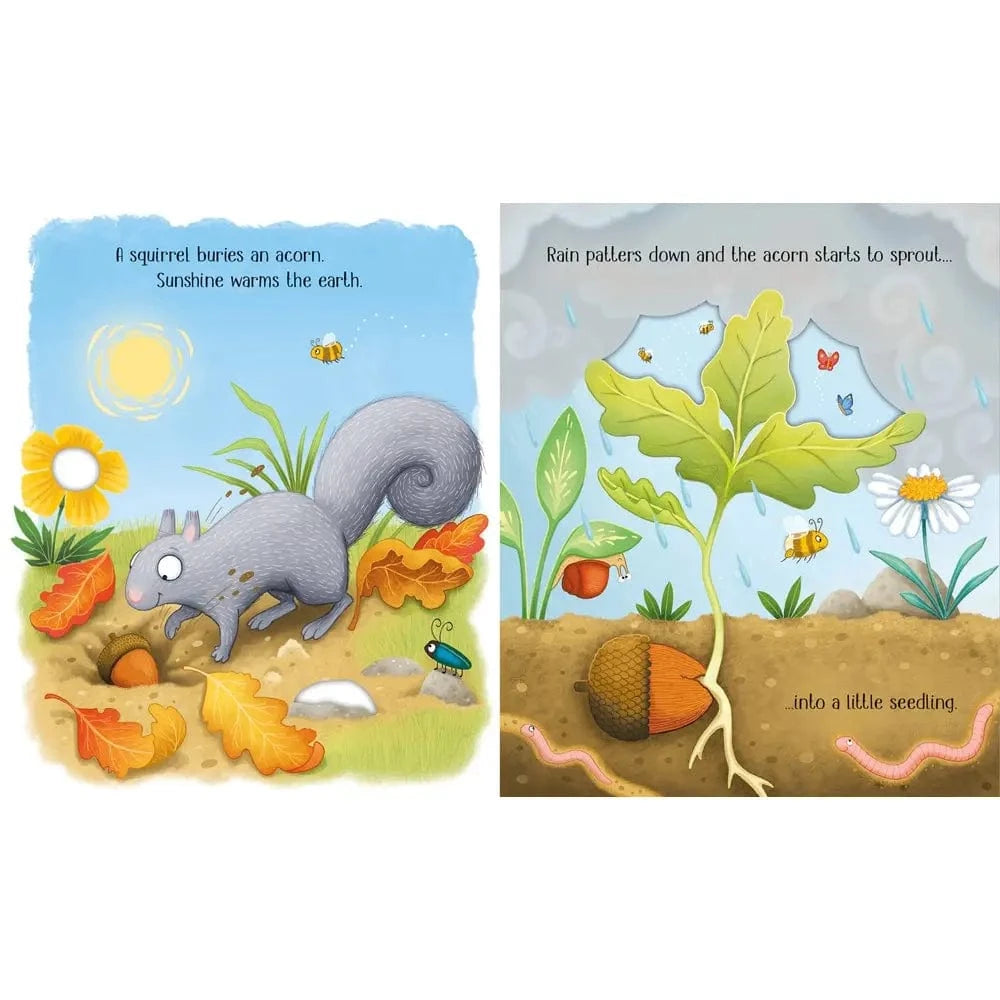 One Little Tree Harper Collins Childrens Lil Tulips