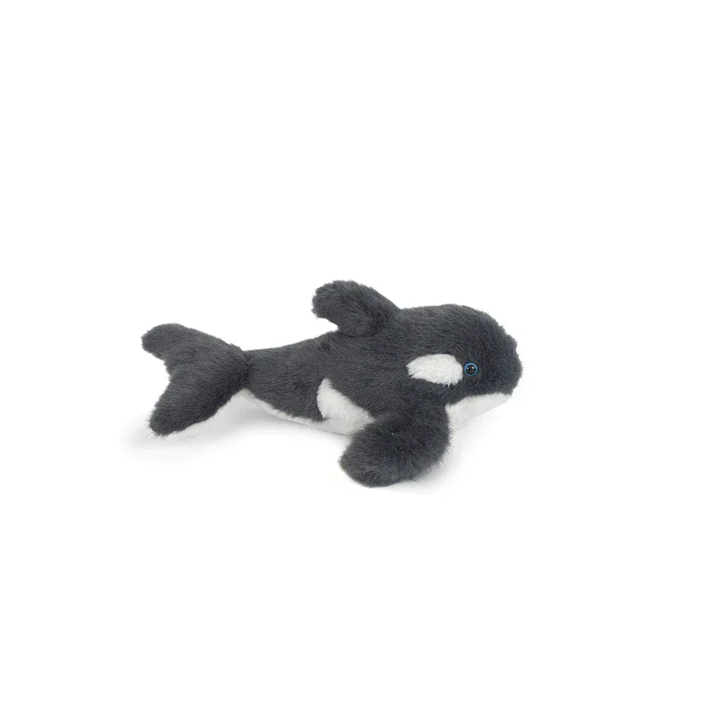 Orion Orca Whale MON AMI Lil Tulips