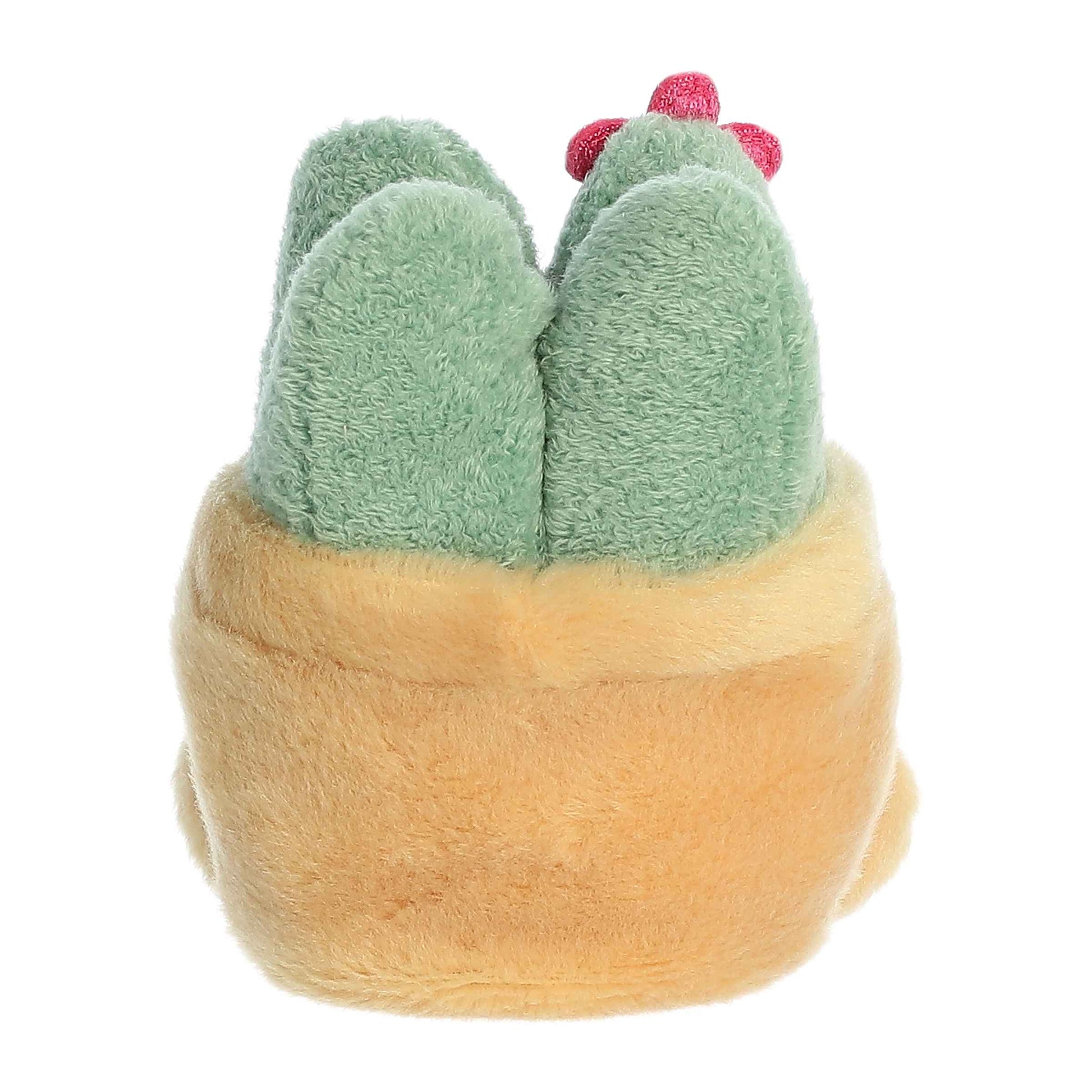 Palm Pals™ - 5" Seyla Succulent ™ Aurora Lil Tulips