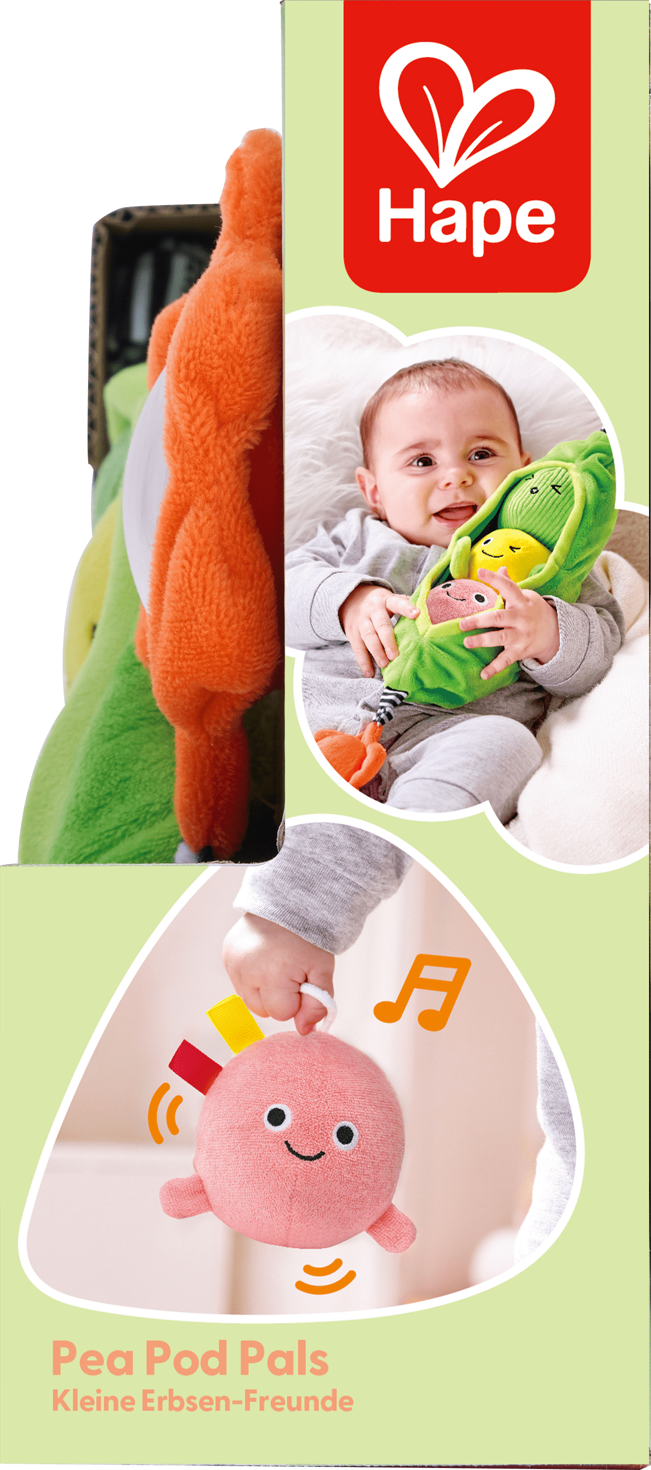 Pea Pod Pals Hape Lil Tulips