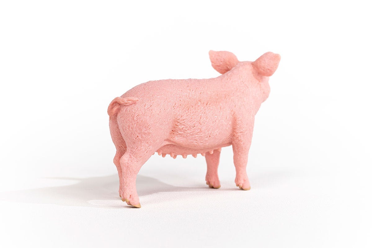 Pig Farm Animal Toy Schleich Lil Tulips