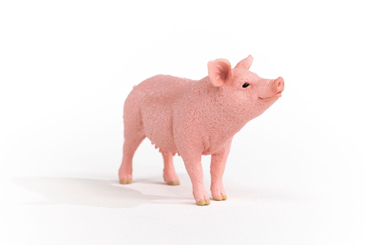 Pig Farm Animal Toy Schleich Lil Tulips