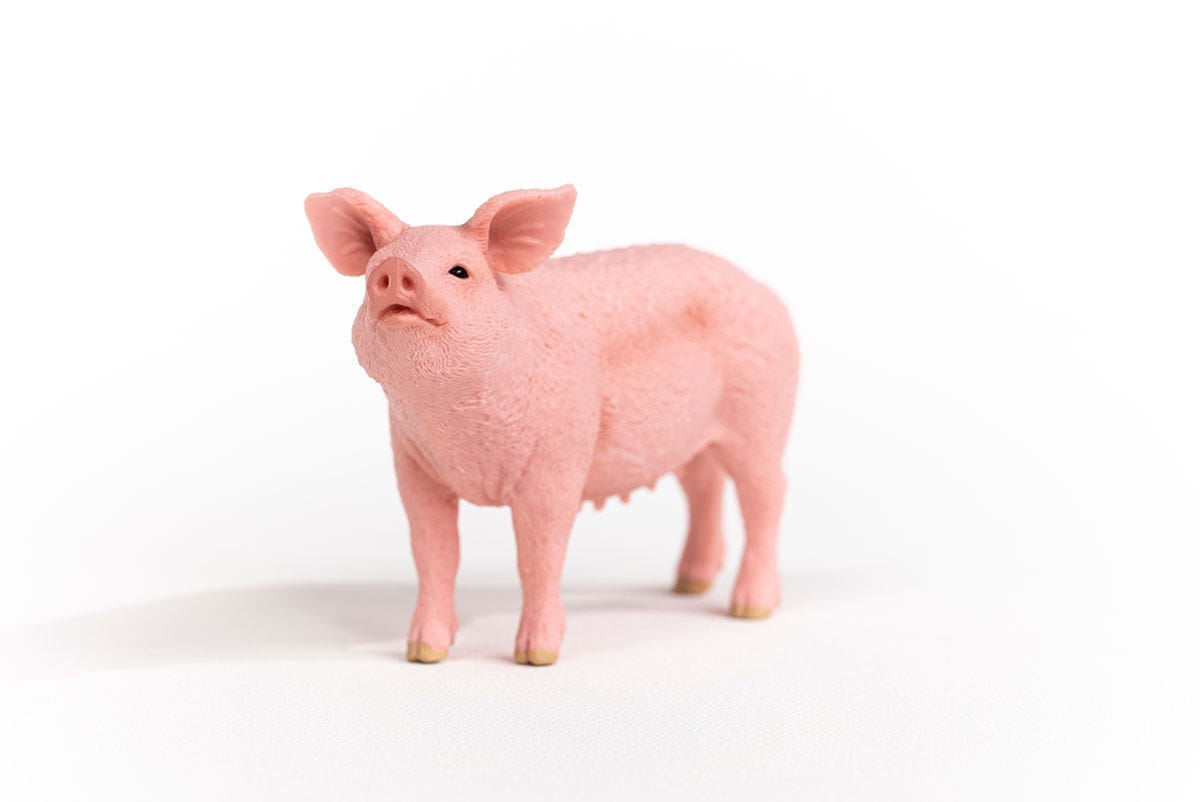 Pig Farm Animal Toy Schleich Lil Tulips