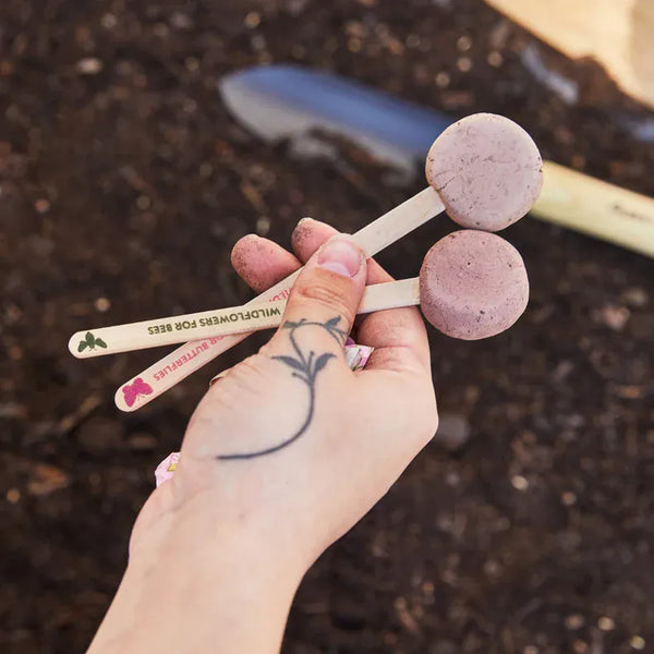 Pollinator Seed Pops - Choose Your Color Modern Sprout Lil Tulips
