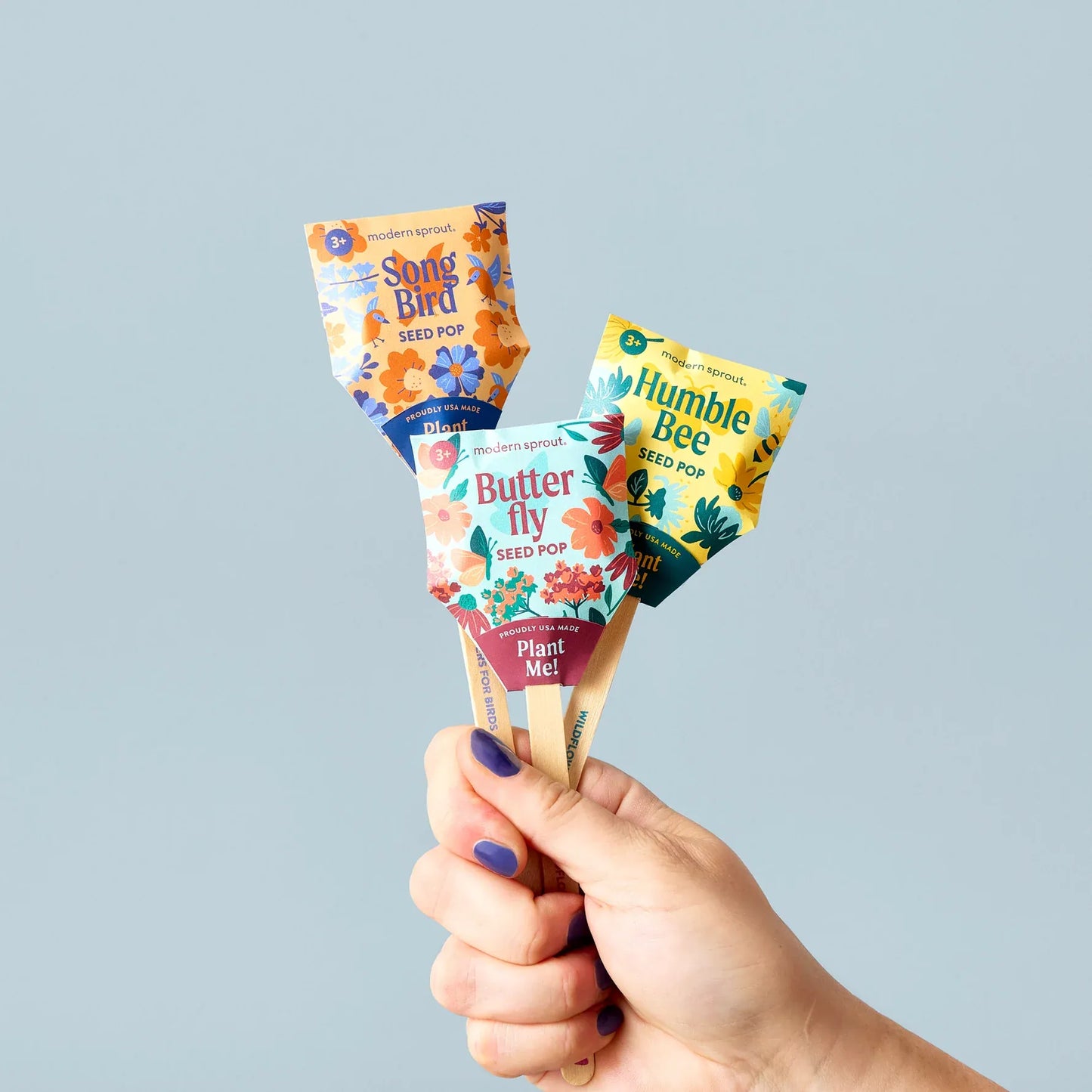 Pollinator Seed Pops - Choose Your Color Modern Sprout Lil Tulips