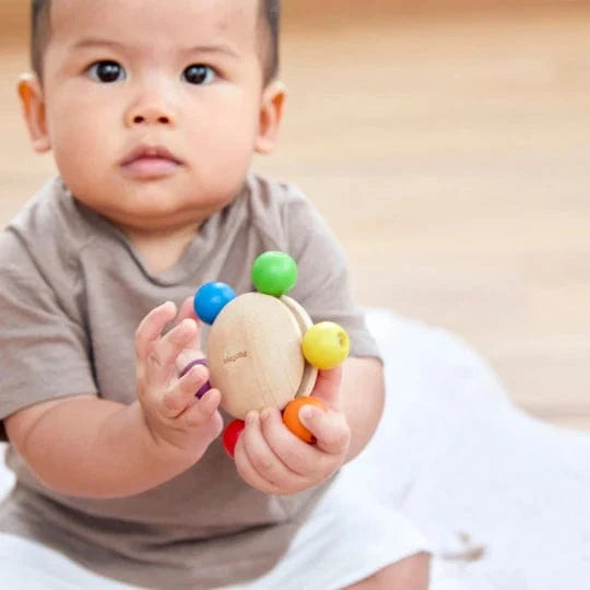 Pull and Grasp Plan Toys Toys Lil Tulips