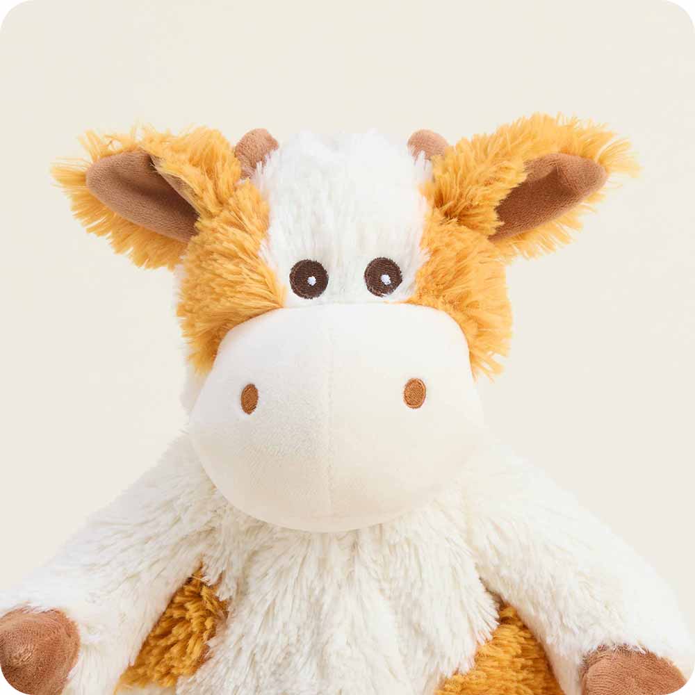 Pumpkin Spice Cow Warmies Warmies Lil Tulips