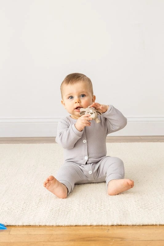 Puppy Ritzy Teether™ Baby Molar Teether Itzy Ritzy Lil Tulips