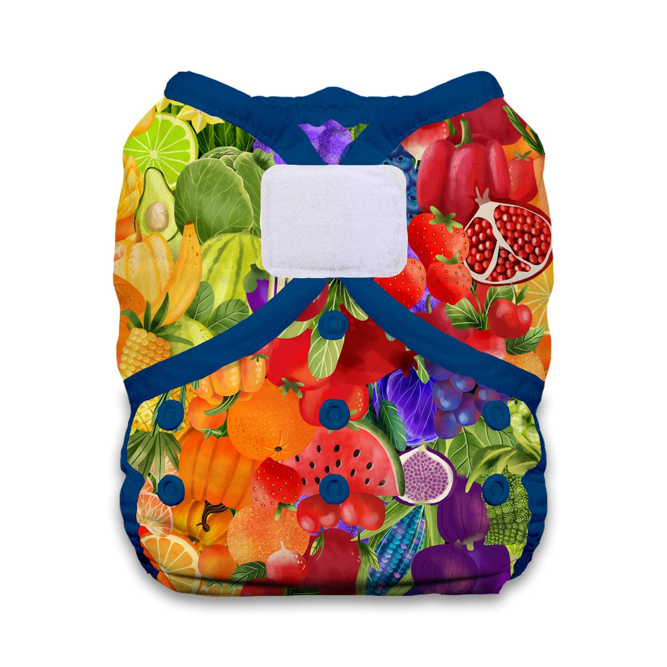 Rainbow Harvest Hook & Loop Duo Wrap Thirsties Diapers Lil Tulips
