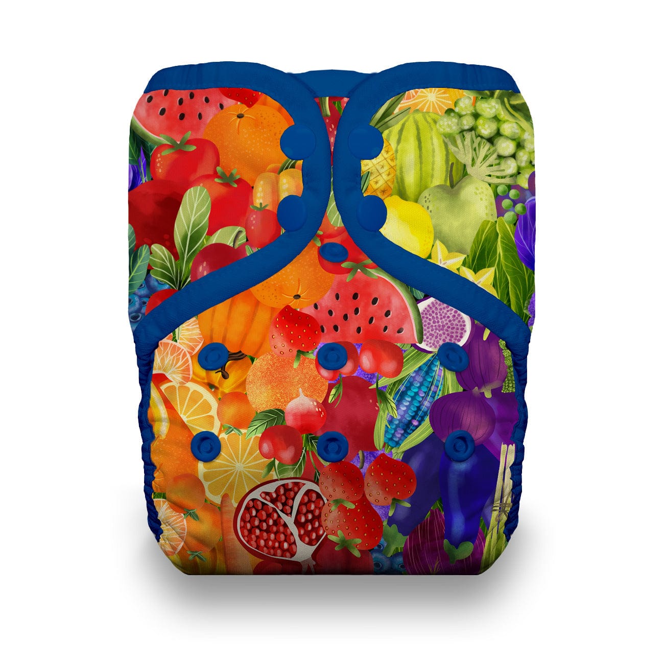 Rainbow Harvest Natural One Size Pocket Diaper Thirsties Lil Tulips