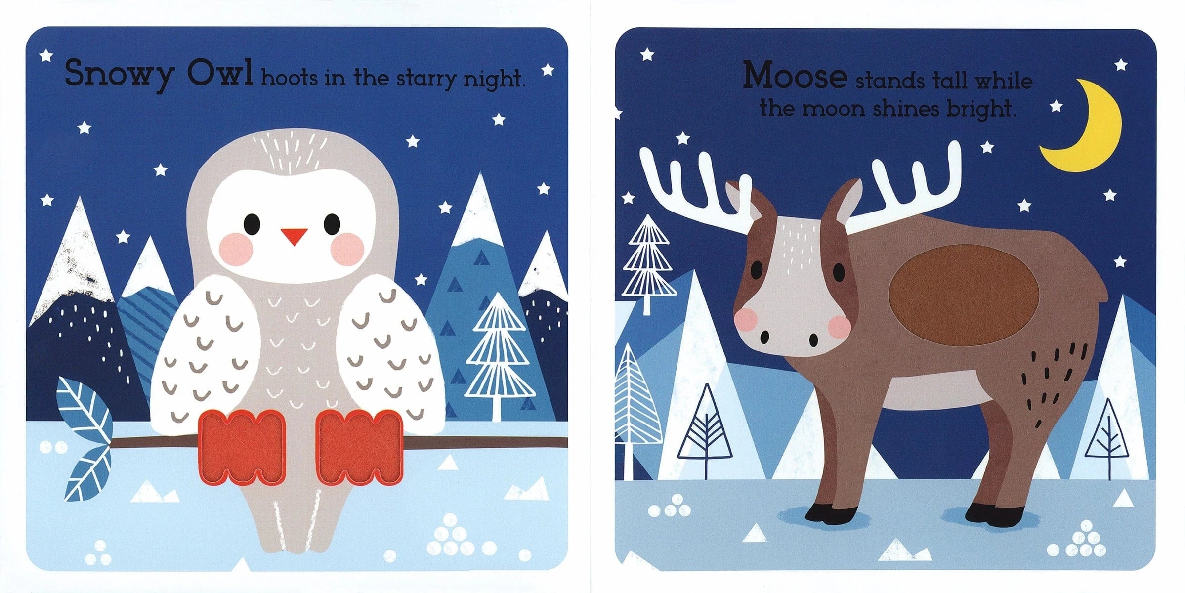 Read, Touch, Discover: Arctic Animals EDC Publishing Lil Tulips