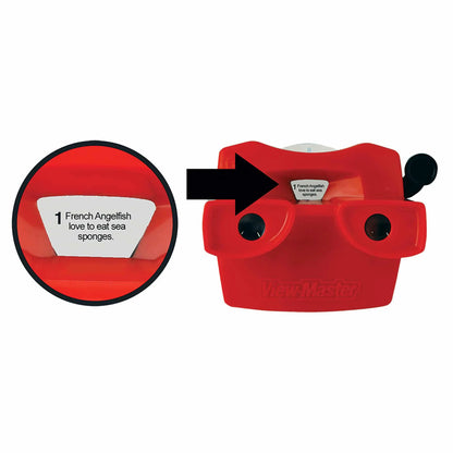 Retro Style ViewMaster Schylling Inc. Lil Tulips
