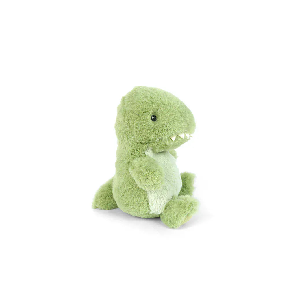 Roary Petit Dino MON AMI Lil Tulips