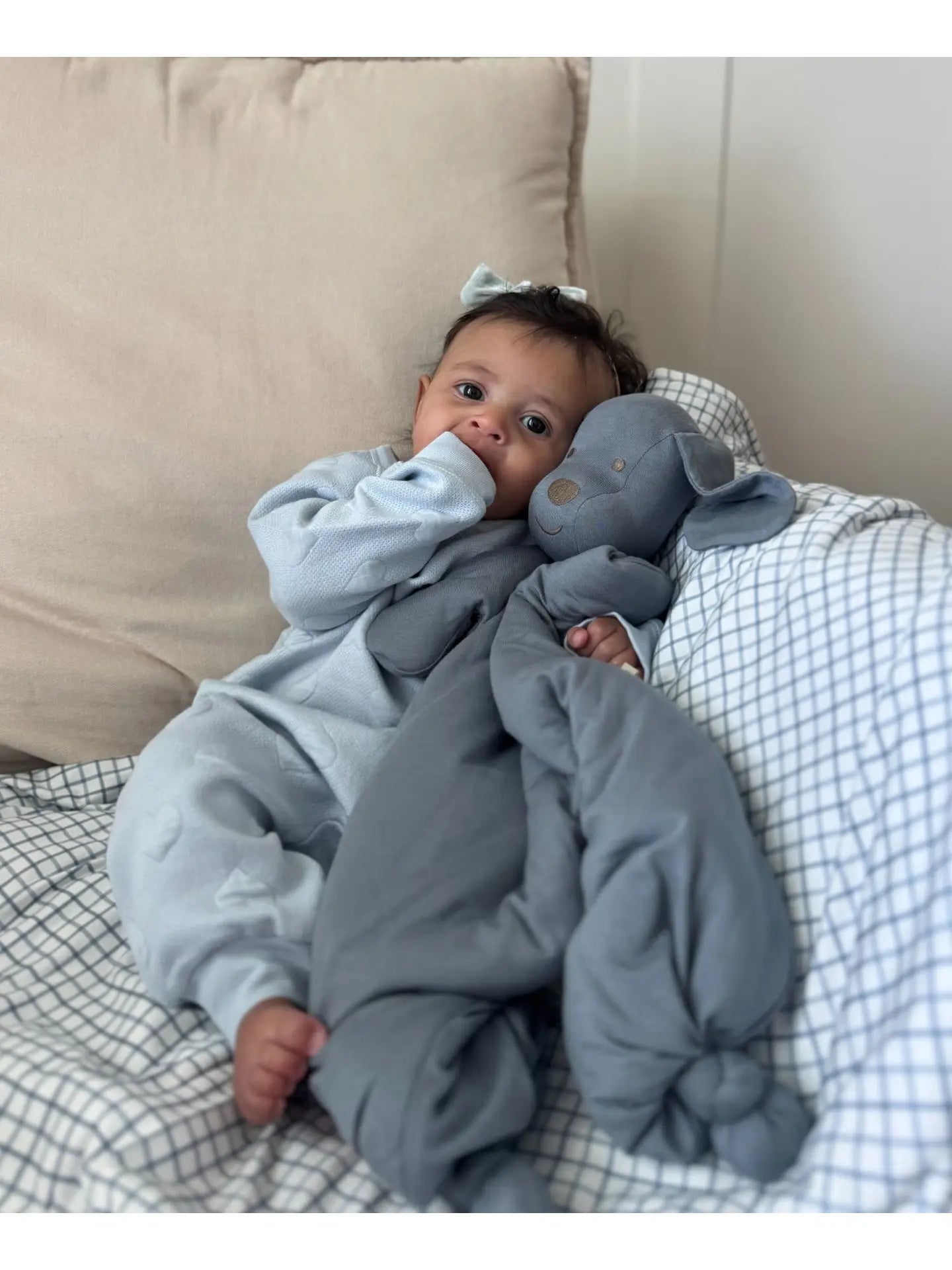 Sammy Lovey Pup Gunamuna Lil Tulips