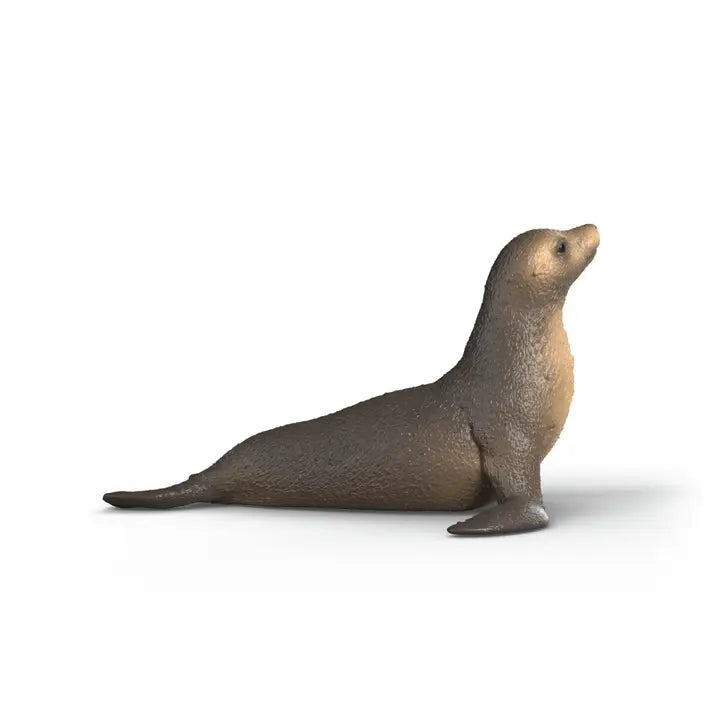 Sea Lion Animal Toy Figurine Schleich Lil Tulips