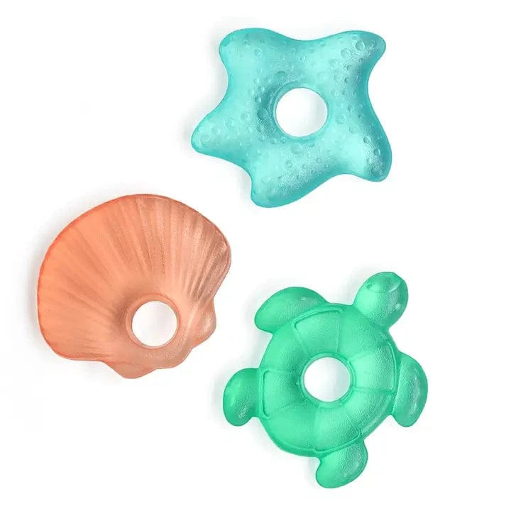 Seaside Coolers™ Water Filled Teethers (3-pack) Itzy Ritzy Lil Tulips