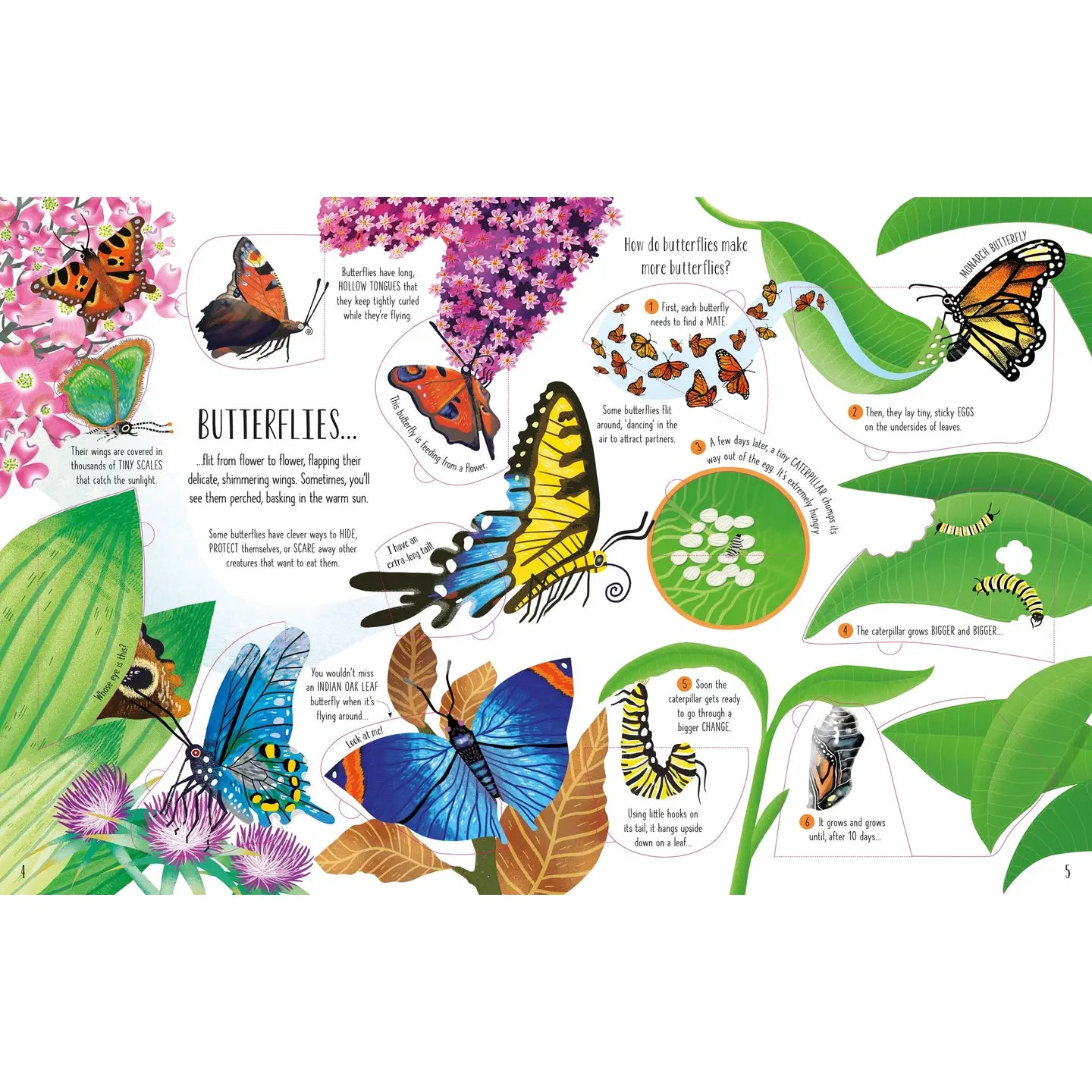 See Inside Bugs and Butterflies Harper Collins Childrens Lil Tulips
