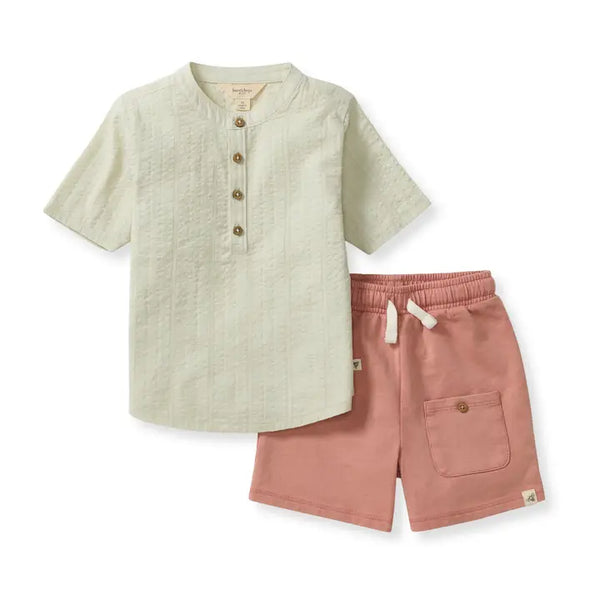 Seersucker Shirt & Shorts Set Burt's Bees Baby Lil Tulips