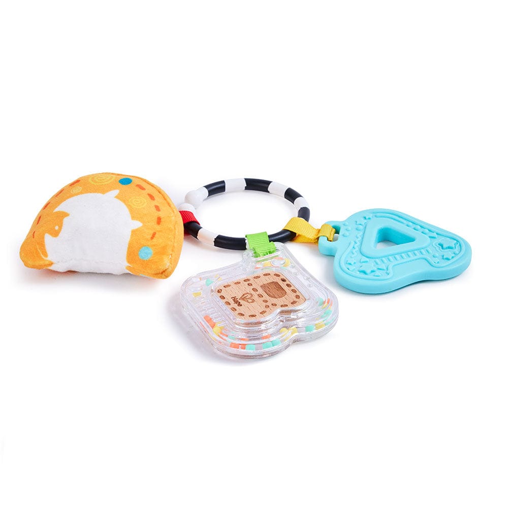 Sensory ABCs Playset Hape Lil Tulips