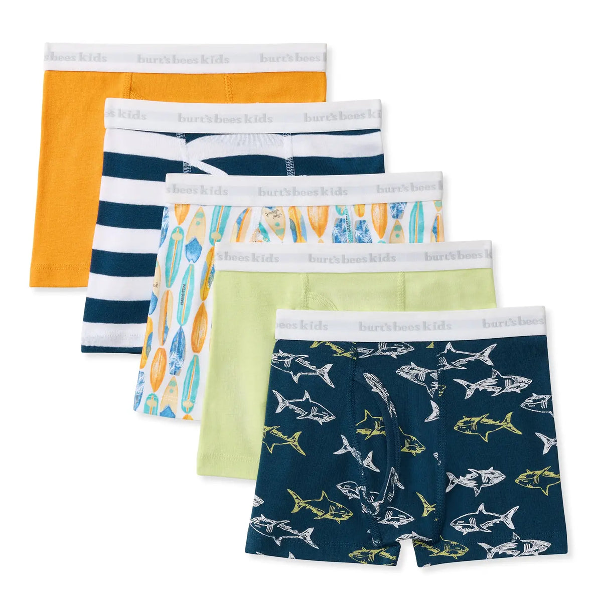 Shark & Beach Boards Organic Cotton Toddler Boy Boxer Briefs Burt's Bees Baby Lil Tulips