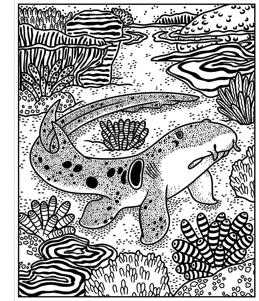 Sharks Magic Painting Book Harper Collins Childrens Lil Tulips