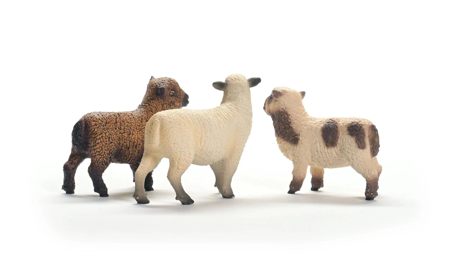 Sheep Friends Playset Schleich Lil Tulips