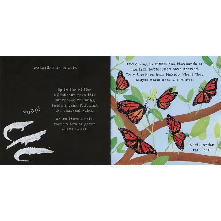 Shine-A-Light: Animal Journeys EDC Publishing Lil Tulips