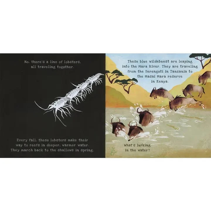 Shine-A-Light: Animal Journeys EDC Publishing Lil Tulips