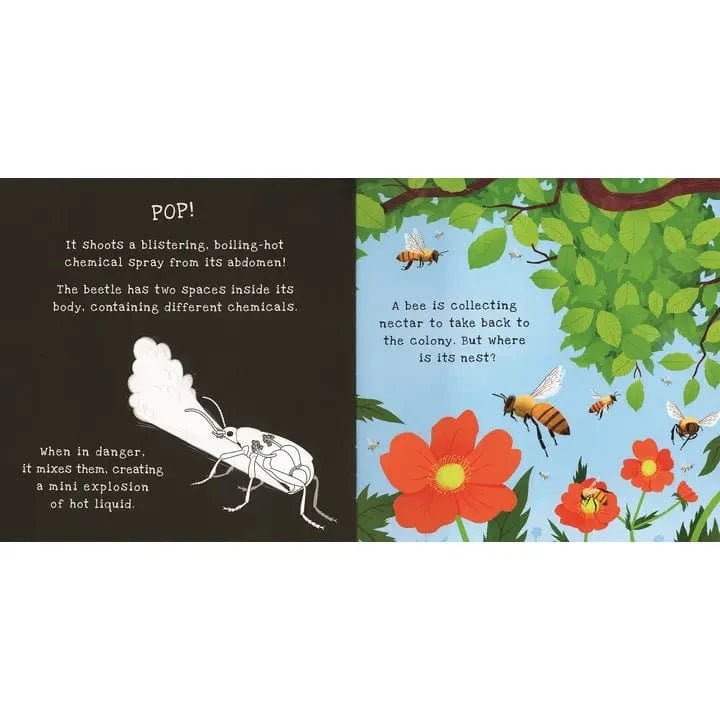 Shine-A-Light: Backyard Bugs EDC Publishing Lil Tulips