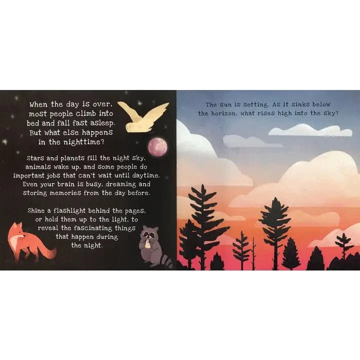 Shine-A-Light: Nighttime EDC Publishing Lil Tulips