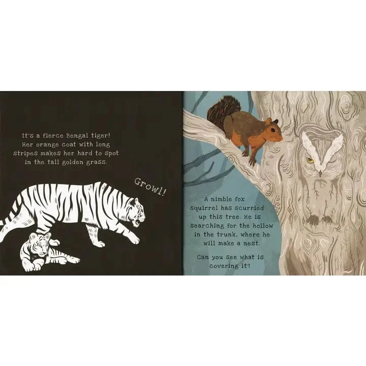 Shine-A-Light: Secrets of Animal Camouﬂage EDC Publishing Lil Tulips