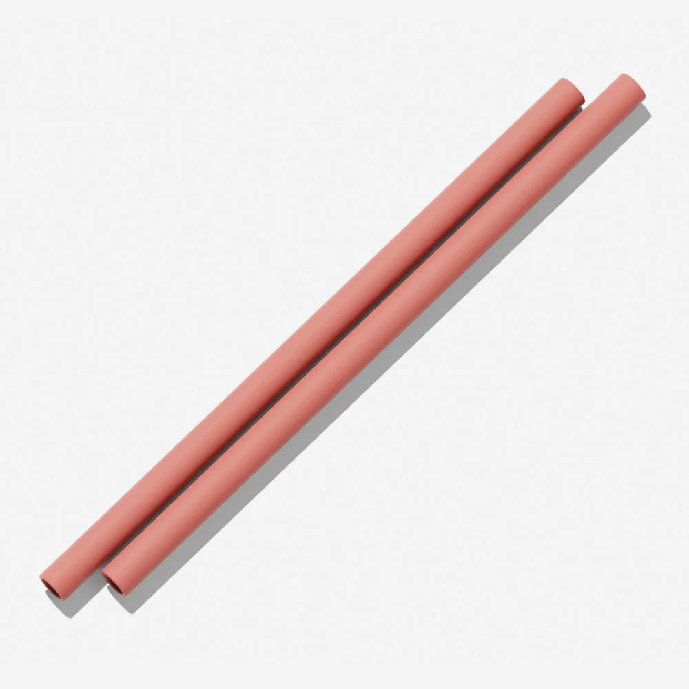 Silicone Straws - Clay