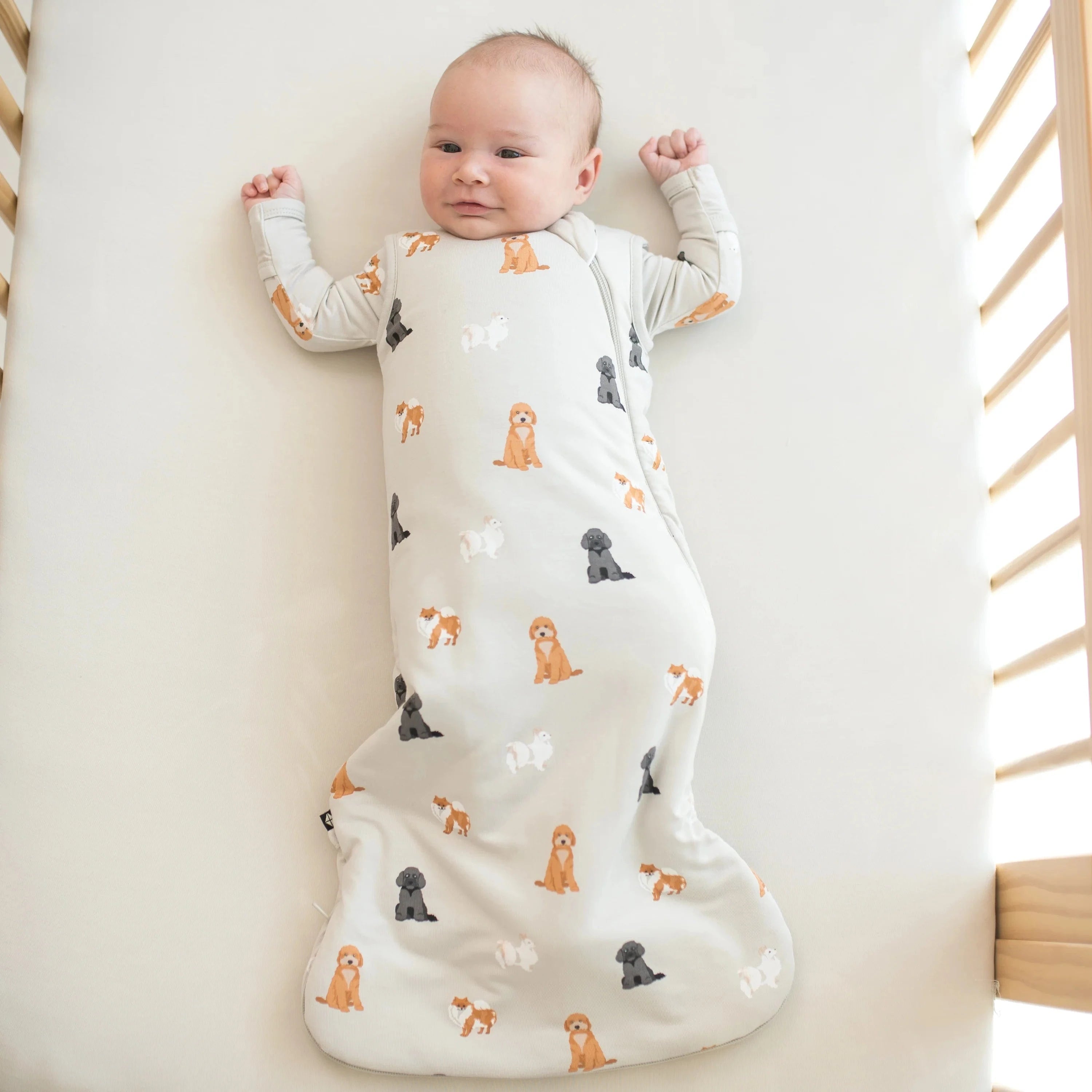 Sleep Bag in Fluffy Dog 1.0 Kyte Baby Lil Tulips