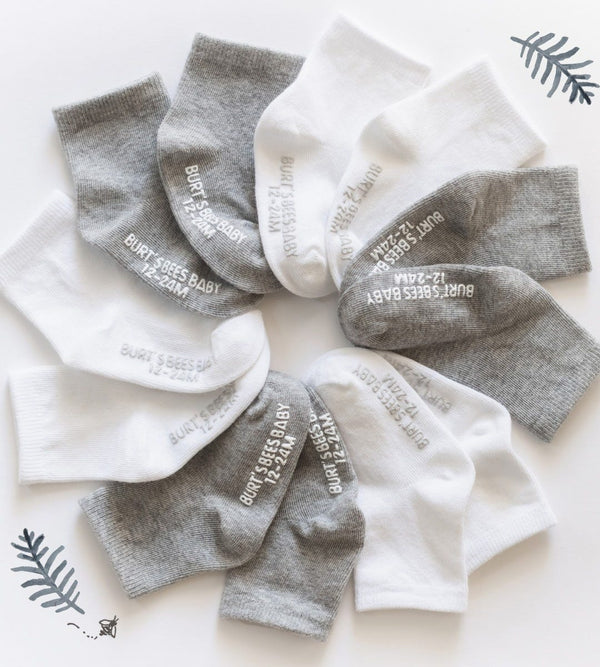 Solid Organic Cotton Baby Crew Socks 6 Pack Burt's Bees Baby Lil Tulips