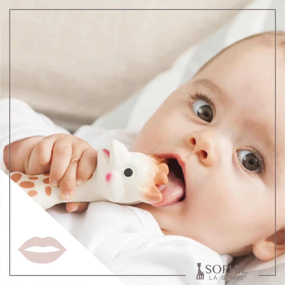 Sophie La Girafe - Classic Sophie la Giraffe Lil Tulips