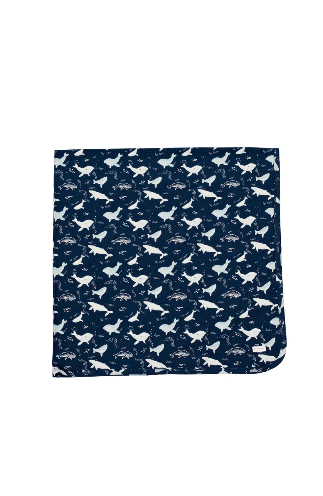Stretch Knit Blanket - Whales LouLou Lollipop Lil Tulips