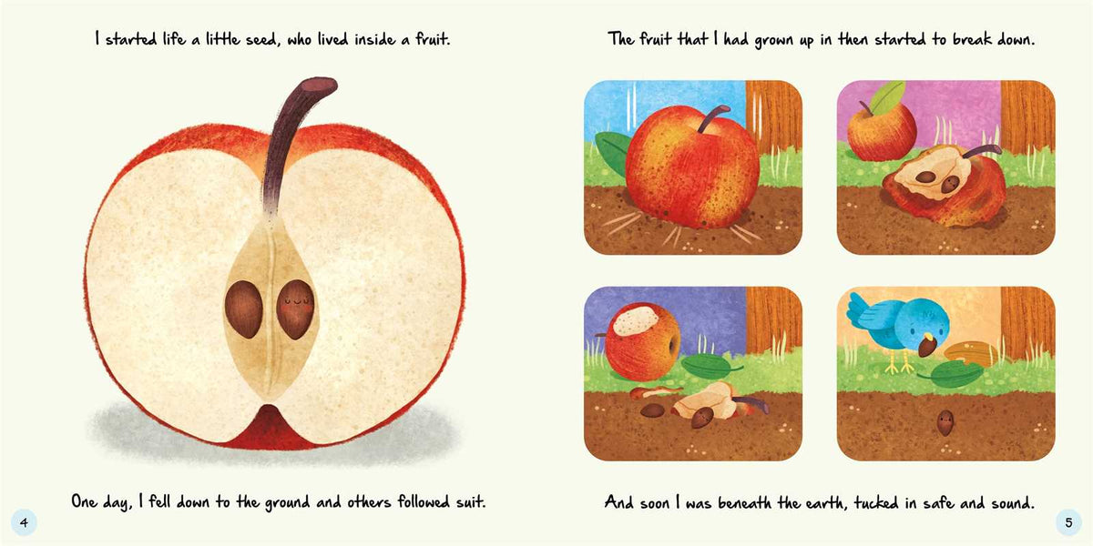 Tales from the Garden Simon & Schuster Lil Tulips