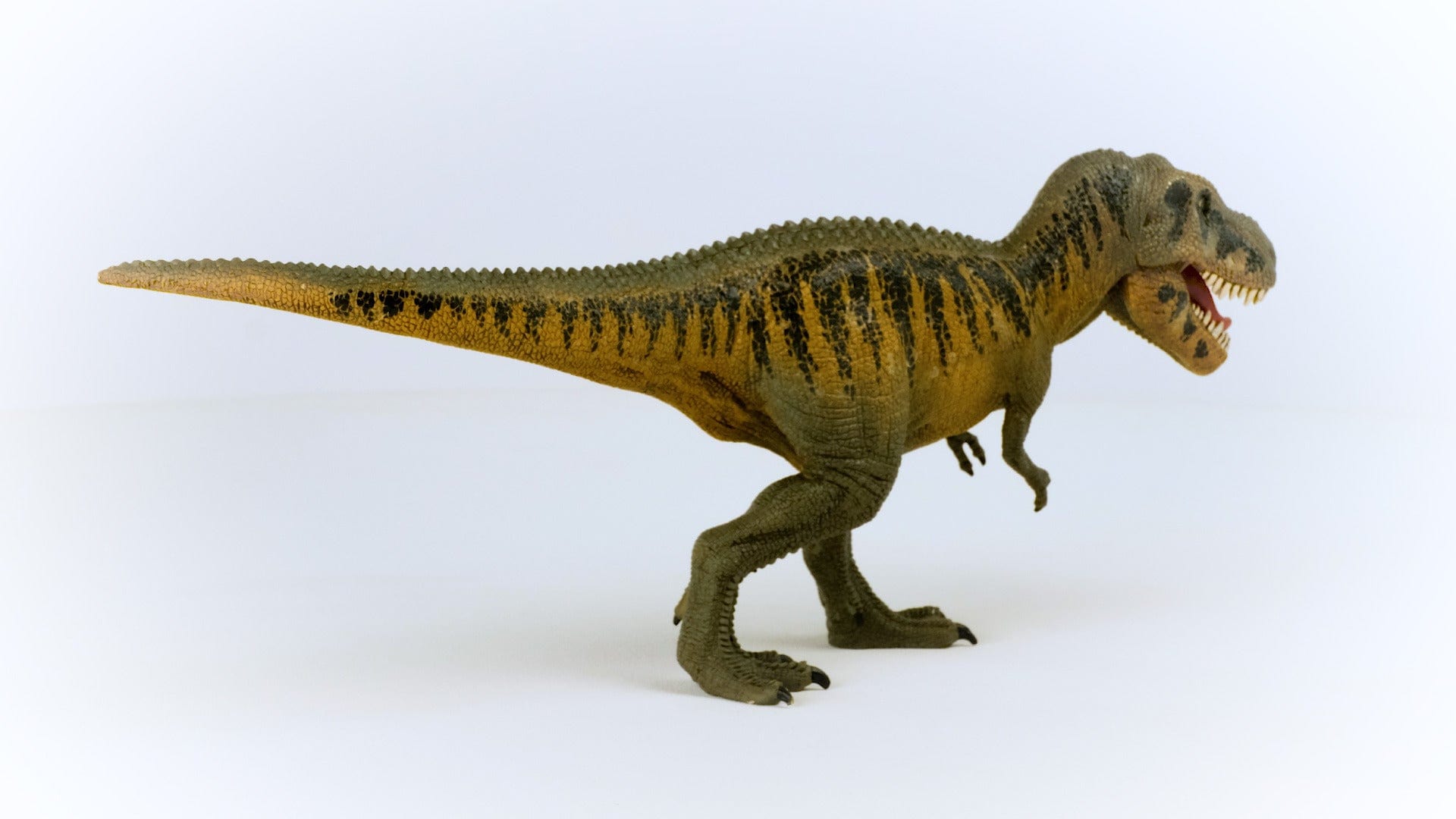 Tarbosaurus Dinosaur Toy Schleich Lil Tulips
