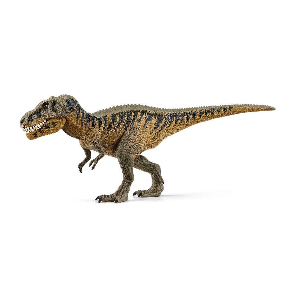 Tarbosaurus Dinosaur Toy Schleich Lil Tulips