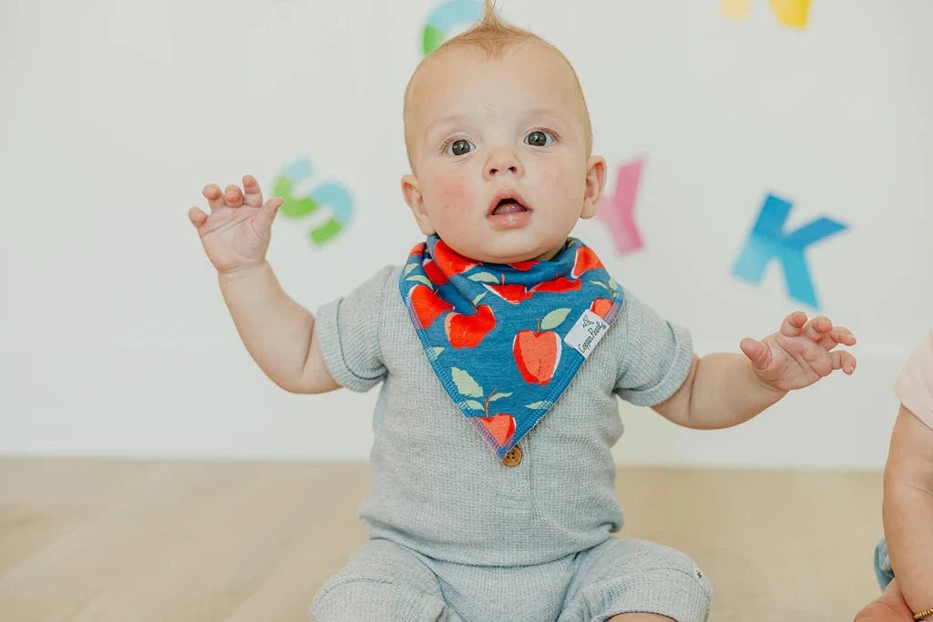Teacher Baby Bandana Bibs Copper Pearl Lil Tulips
