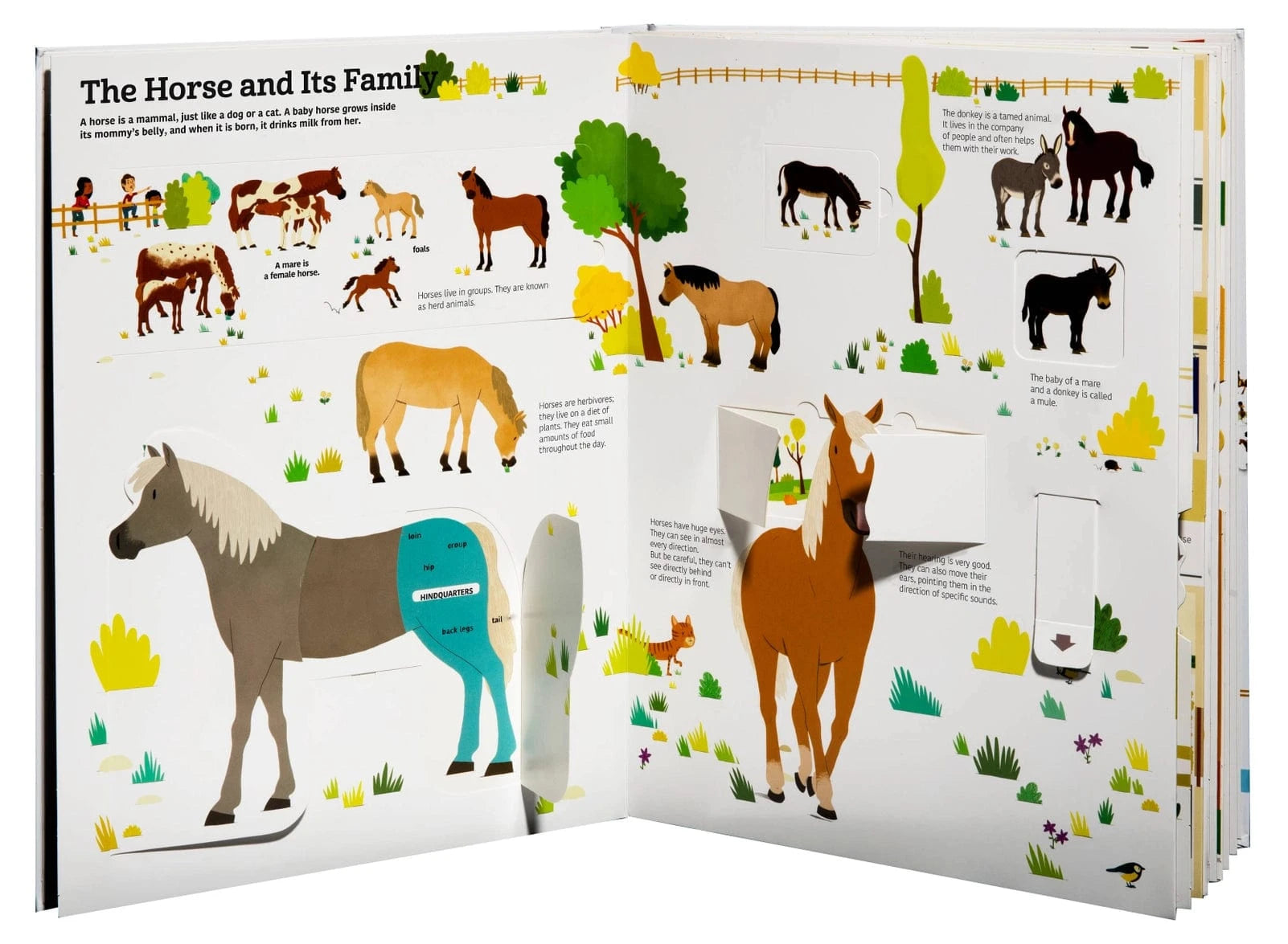 The Ultimate Book of Horses Chronicle Books Lil Tulips