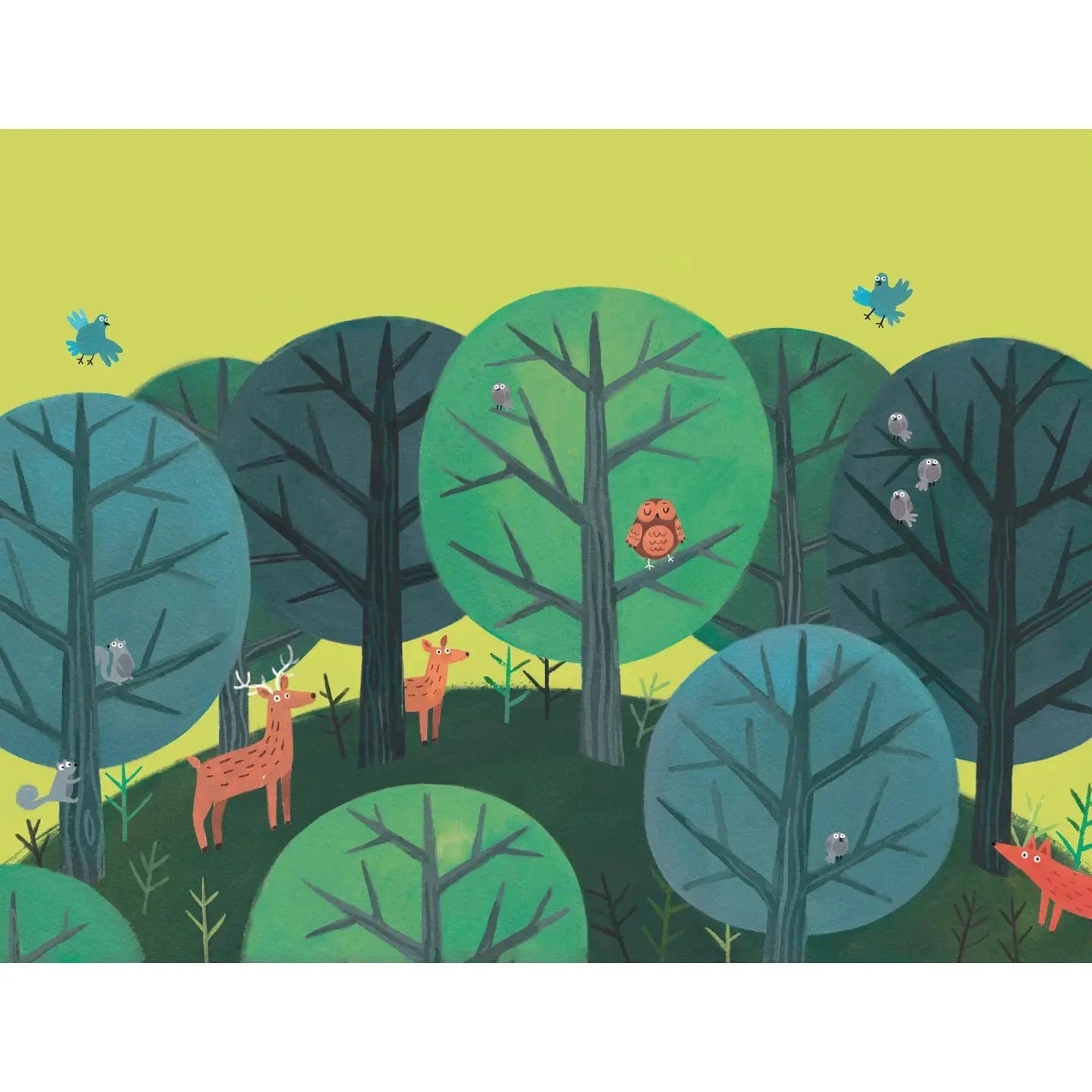 This Is Owl EDC Publishing Lil Tulips