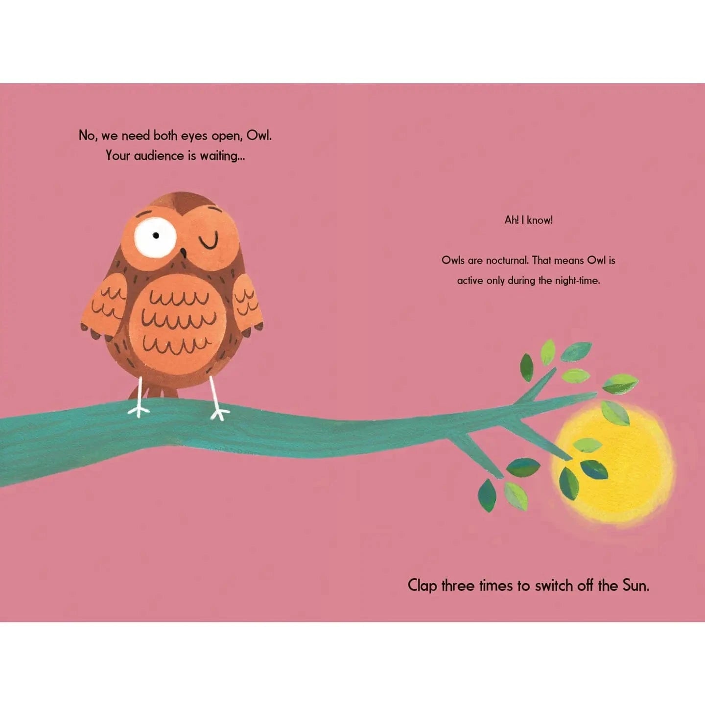 This Is Owl EDC Publishing Lil Tulips