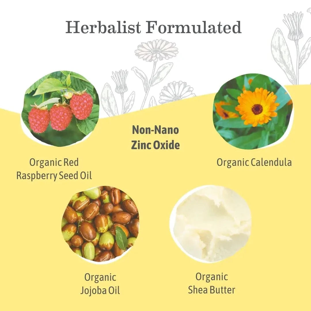 Tinted Mineral Sunscreen Lotion SPF 40 Earth Mama Organics Earth Mama Angel Baby Lil Tulips