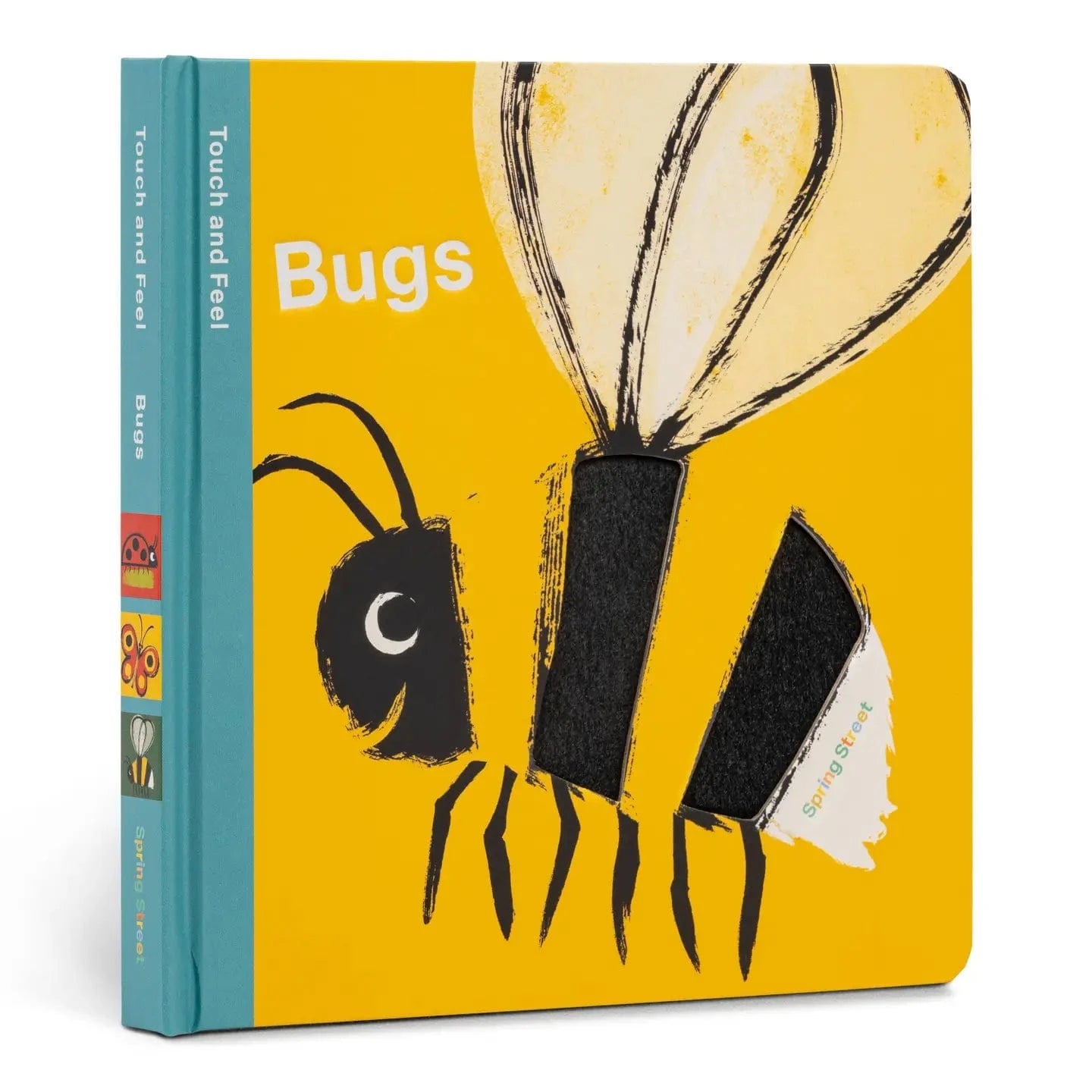 Touch and Feel: Bugs Hachette Lil Tulips