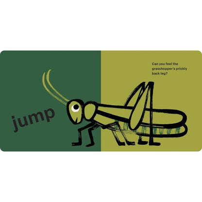 Touch and Feel: Bugs Hachette Lil Tulips