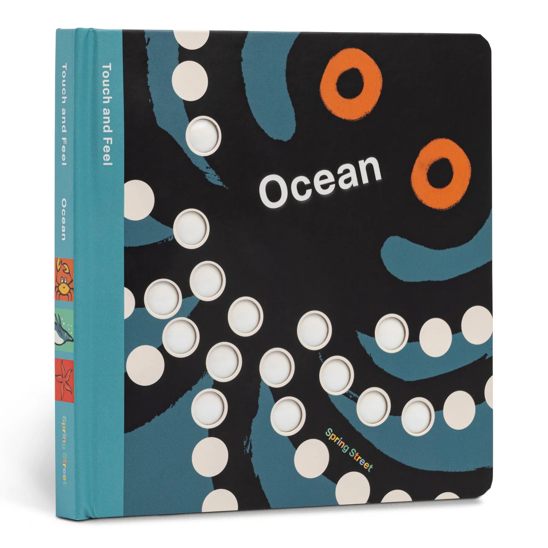 Touch and Feel: Ocean Hachette Lil Tulips