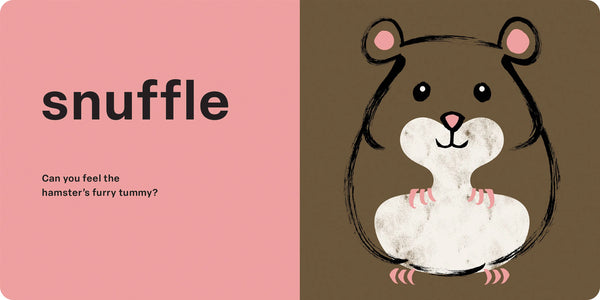 Touch and Feel: Pets Hachette Lil Tulips